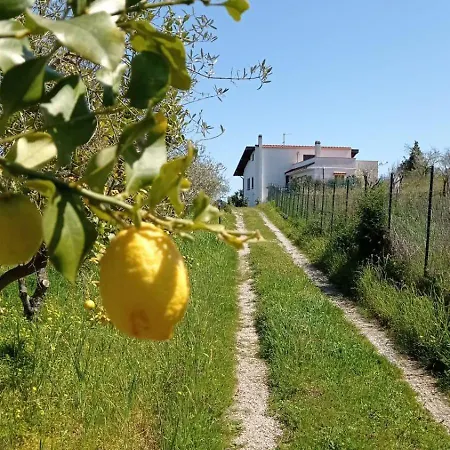 Cresta, Private With Pool * Naso